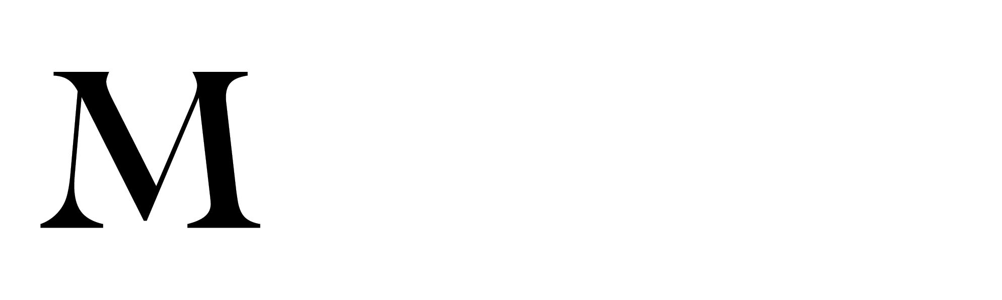 Maxim Travel